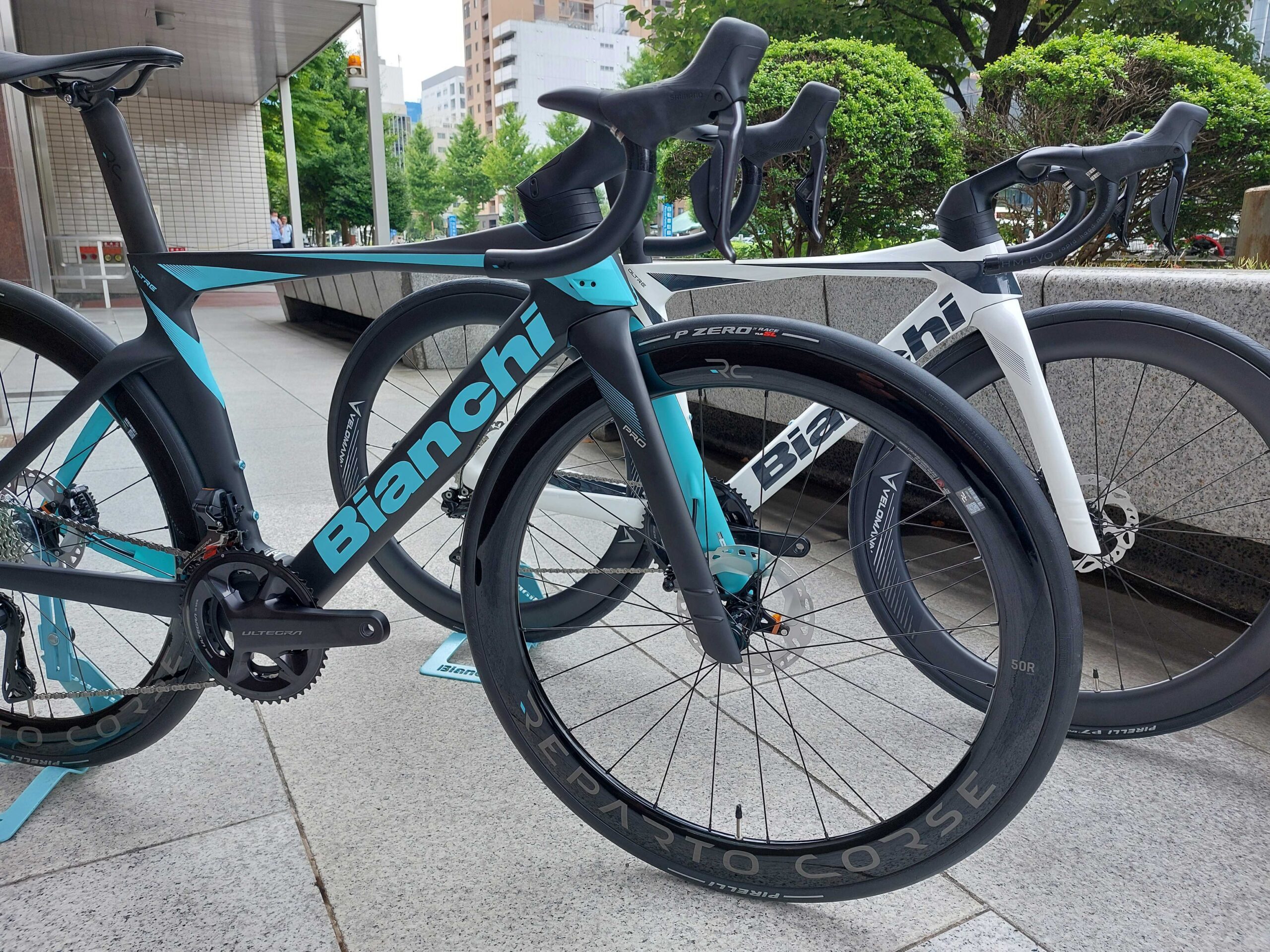 ベルギー製 Bianchi ビアンキ オマケ有 | mcshoescolombia.com.co